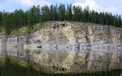 Wilderness Condition as a Status Indicator of Russian Flora and Fauna: Implications for Future Protection Initiatives