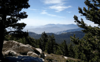 Visitor Use, Attitudes, and  Perceptions at Mount San Jacinto  State Wilderness