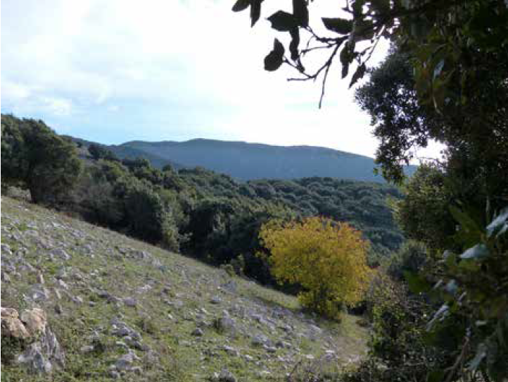 Increasing Number of Wilderness Areas in Italy