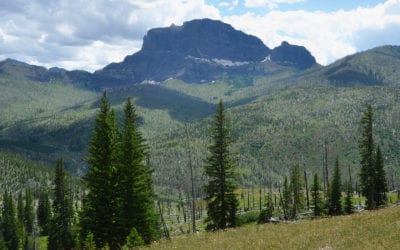 Yellowstone and Grand Teton National Parks: A Case Study of Mining Claim History in Four Adjacent National Forest Wilderness Areas