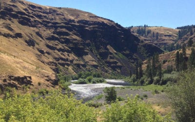 Monitoring Outdoor Recreation Use: The Umatilla National Forest, Wenaha Wild and Scenic River Corridor
