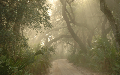 The Preservation Paradox: How to Manage Cultural Resources in Wilderness? An Example from the National Park Service