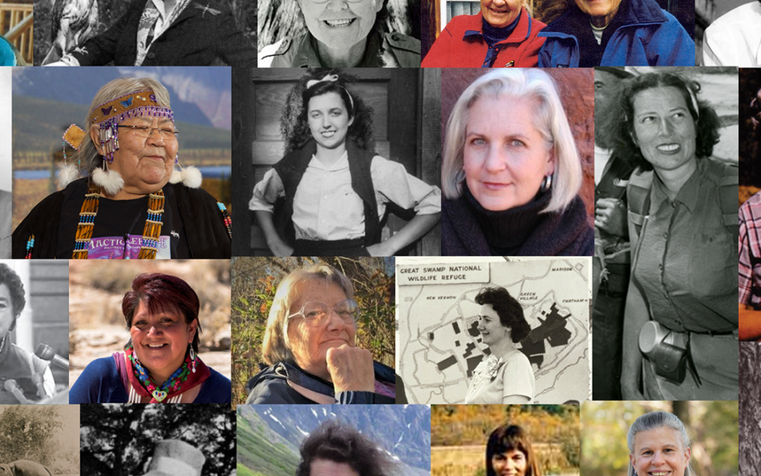 Beyond Secretaries, Hostesses, and Cooks: The Power, Humility, and Compassion of Women Who Battled to Save Wilderness
