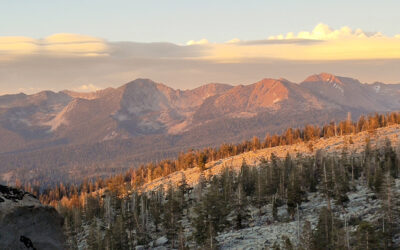 The Evolution Of Management Science To Inform Carrying Capacity Of Overnight Visitor Use In The Yosemite Wilderness