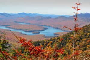 Adirondack Mountains during fall. Photo by Hazal Ozturk on Unsplash